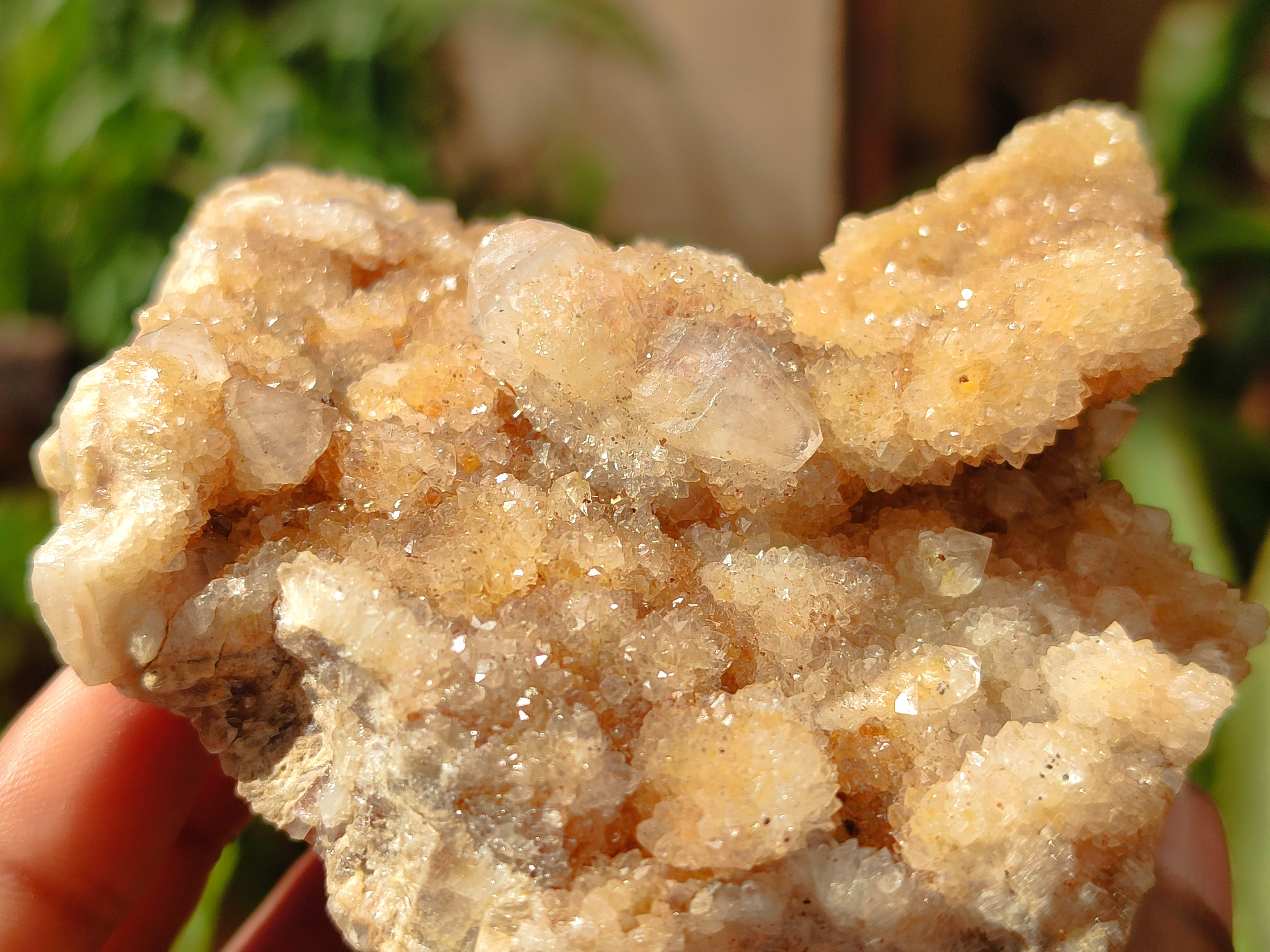 Natural Spirit Quartz Clusters x 6 From Boekenhouthoek, South Africa - Toprock Gemstones and Minerals 