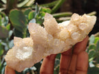 Natural Spirit Quartz Clusters x 6 From Boekenhouthoek, South Africa - Toprock Gemstones and Minerals 