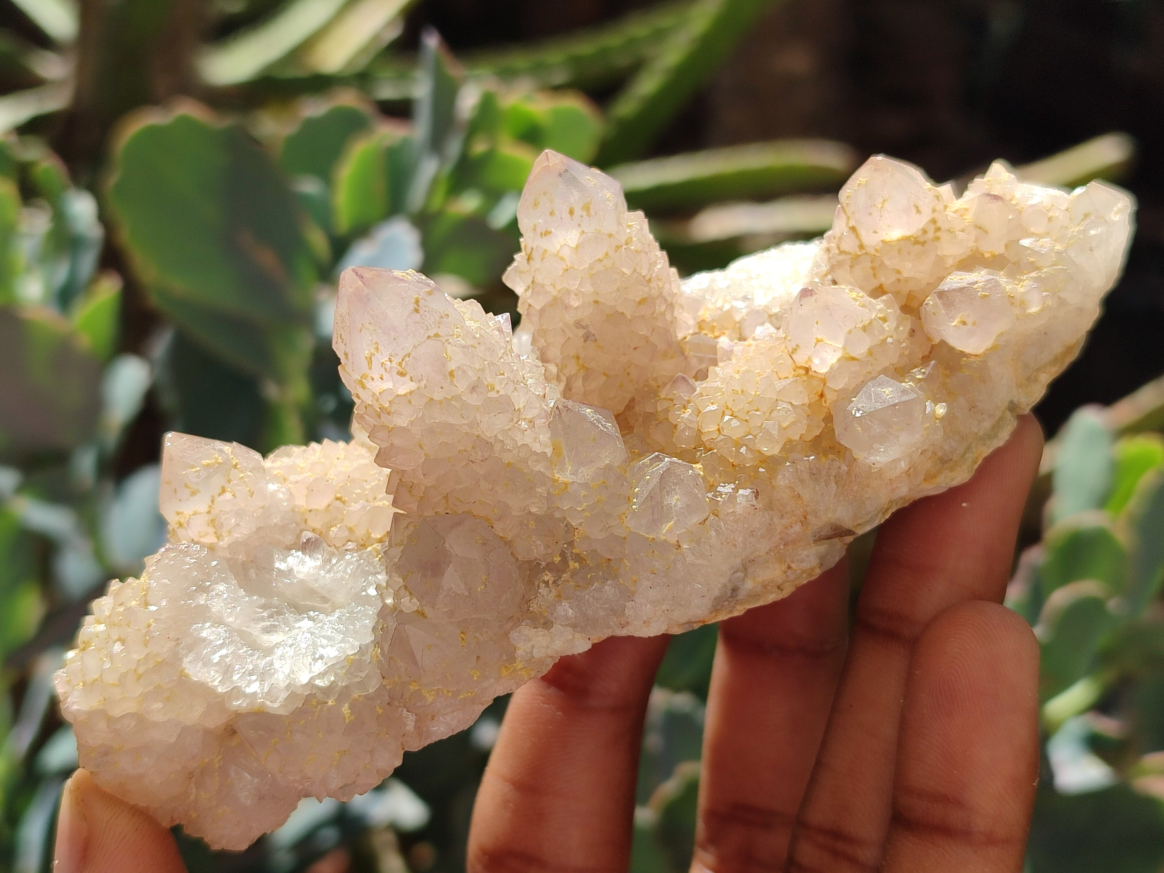 Natural Spirit Quartz Clusters x 6 From Boekenhouthoek, South Africa - Toprock Gemstones and Minerals 