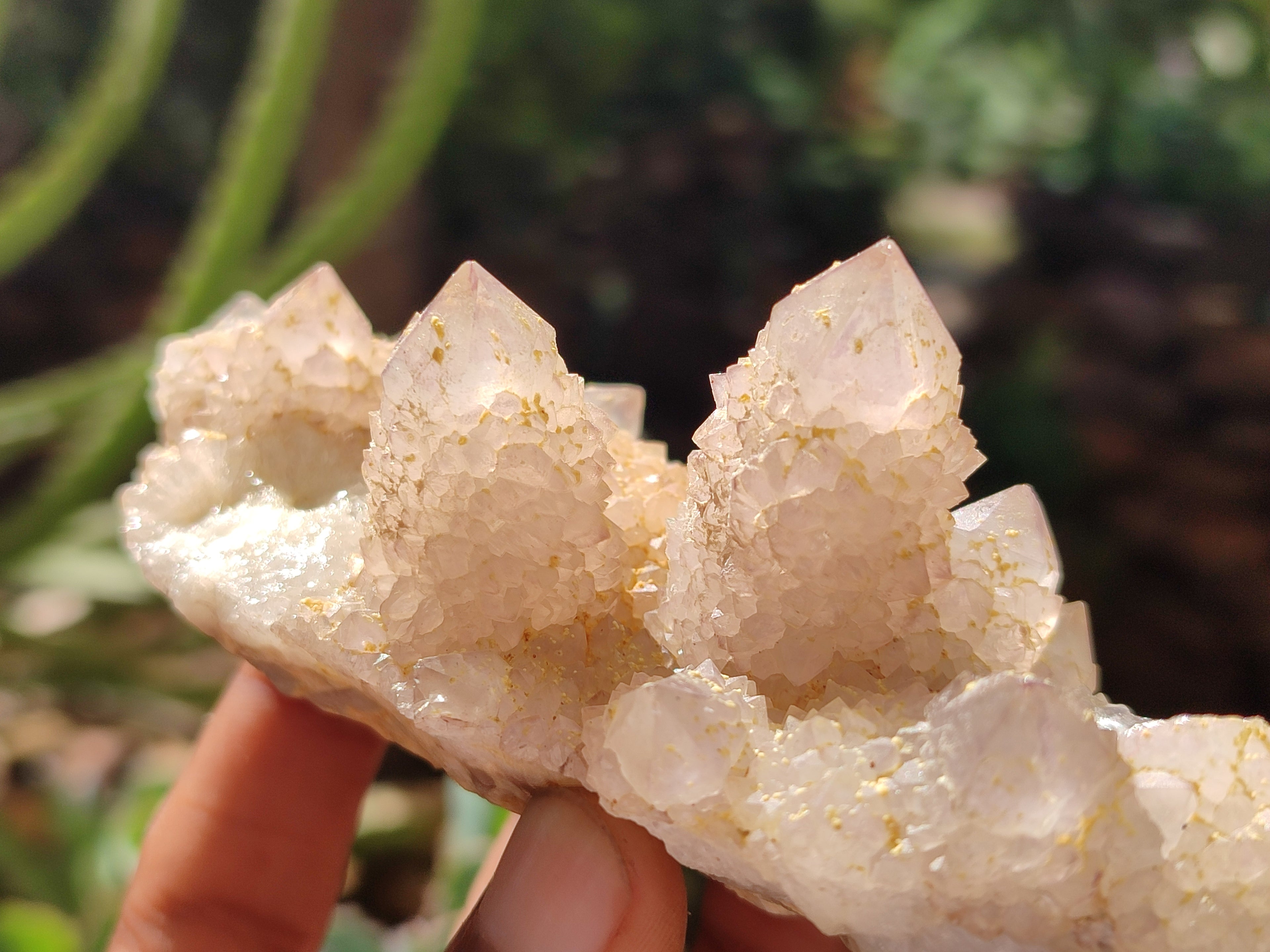 Natural Spirit Quartz Clusters x 6 From Boekenhouthoek, South Africa - Toprock Gemstones and Minerals 