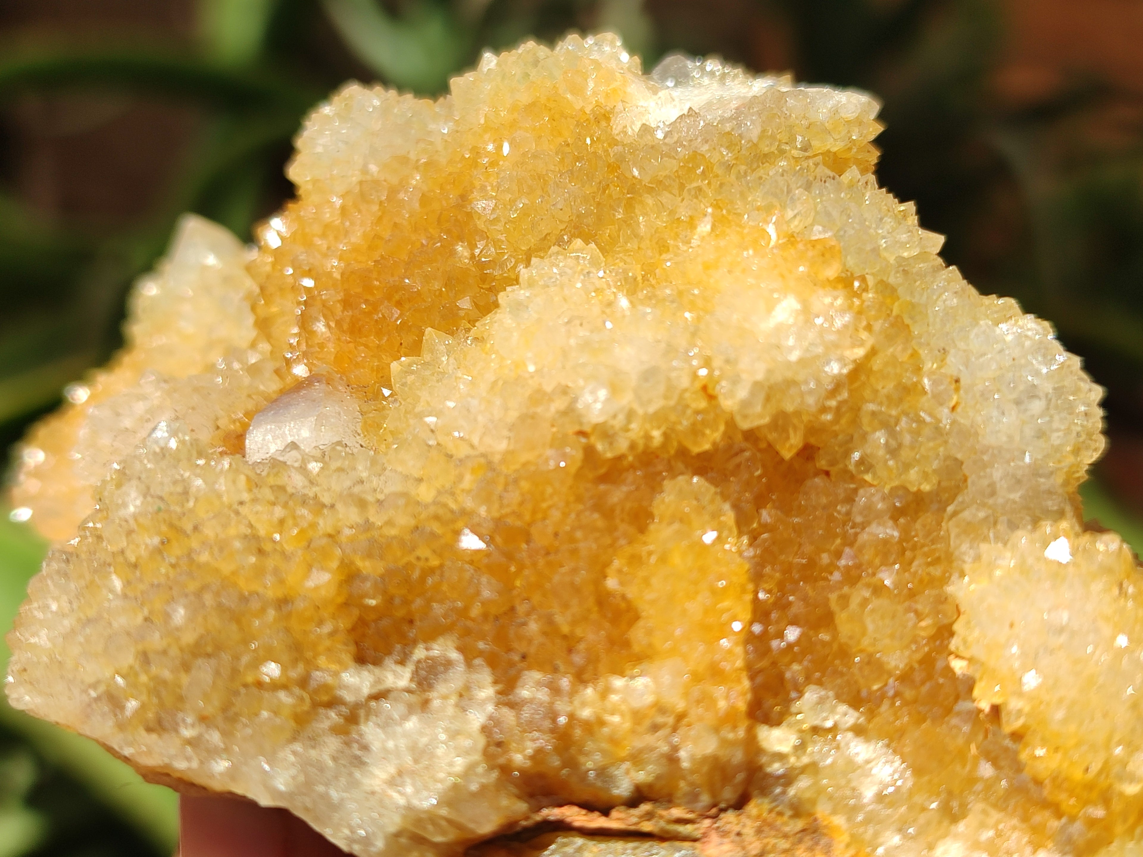 Natural Spirit Quartz Clusters x 6 From Boekenhouthoek, South Africa - Toprock Gemstones and Minerals 