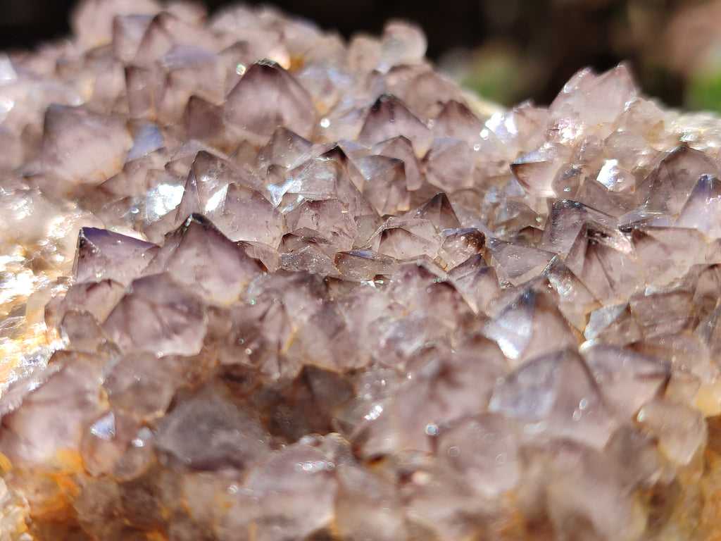 Natural Spirit Quartz Clusters x 6 From Boekenhouthoek, South Africa - Toprock Gemstones and Minerals 