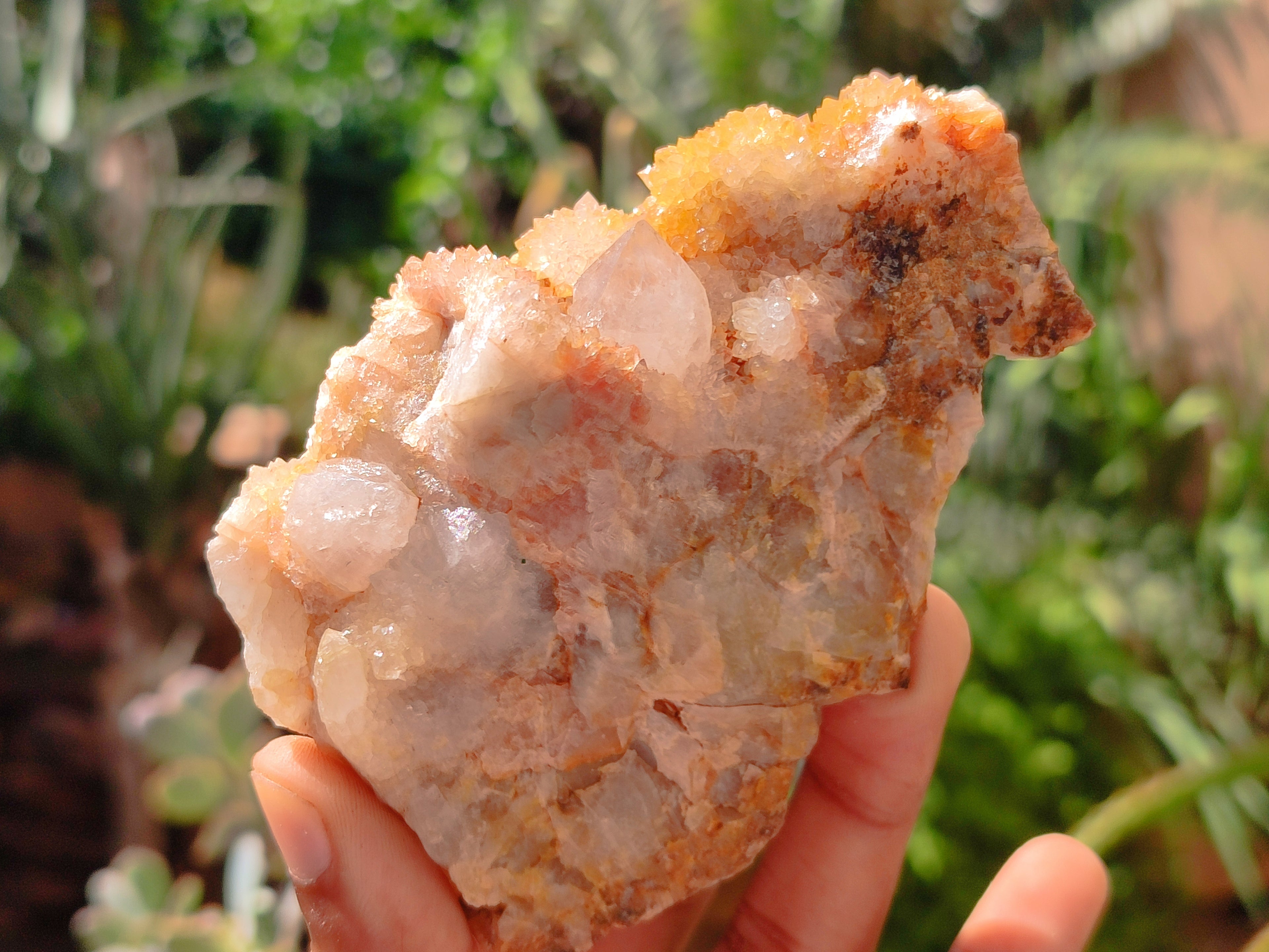 Natural Spirit Quartz Clusters x 6 From Boekenhouthoek, South Africa - Toprock Gemstones and Minerals 