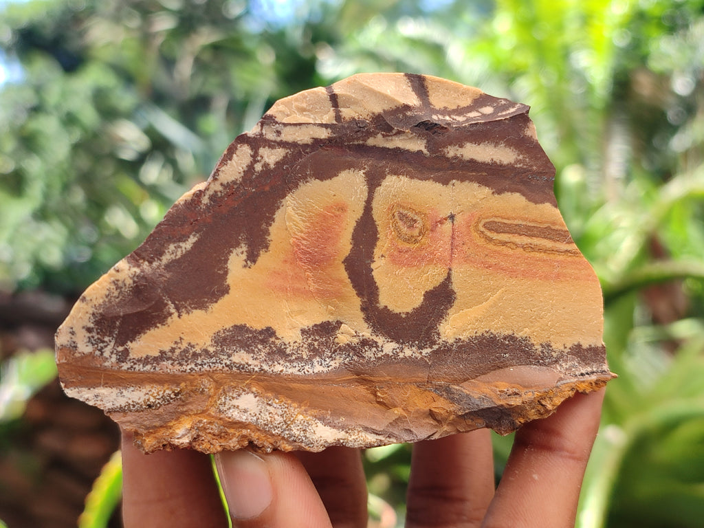 Natural Nguni Jasper Cobbed Specimens x 12 From Prieska, South Africa - Toprock Gemstones and Minerals 