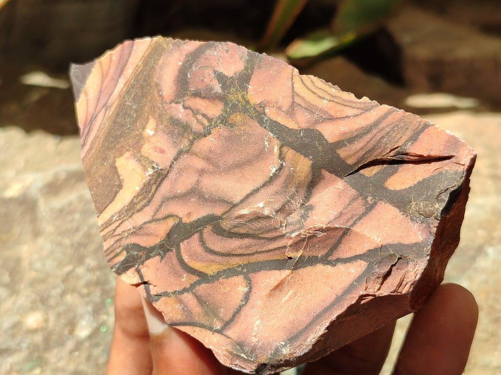 Natural Nguni Jasper Cobbed Specimens x 12 From Prieska, South Africa - Toprock Gemstones and Minerals 