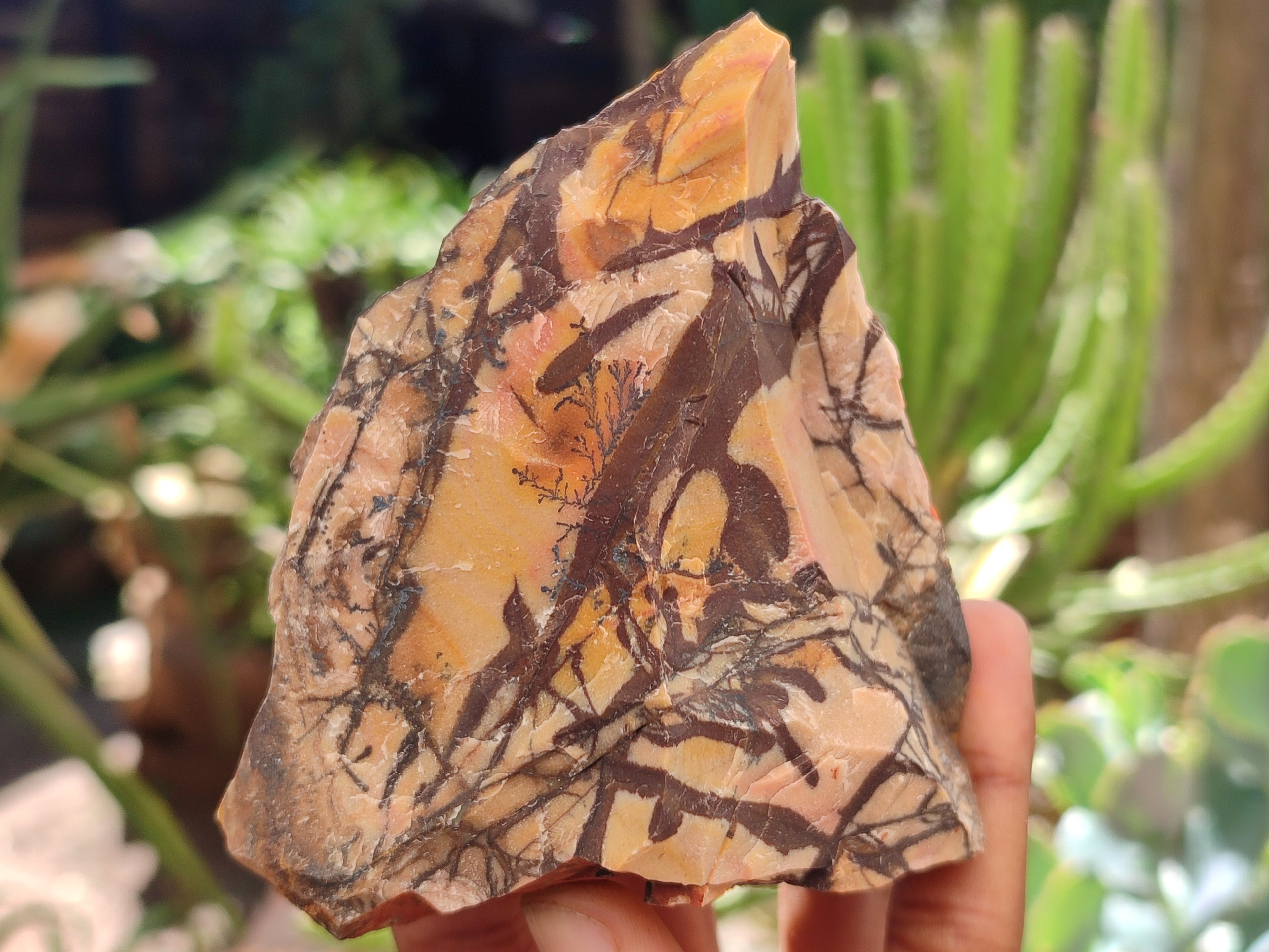 Natural Nguni Jasper Cobbed Specimens x 12 From Prieska, South Africa - Toprock Gemstones and Minerals 