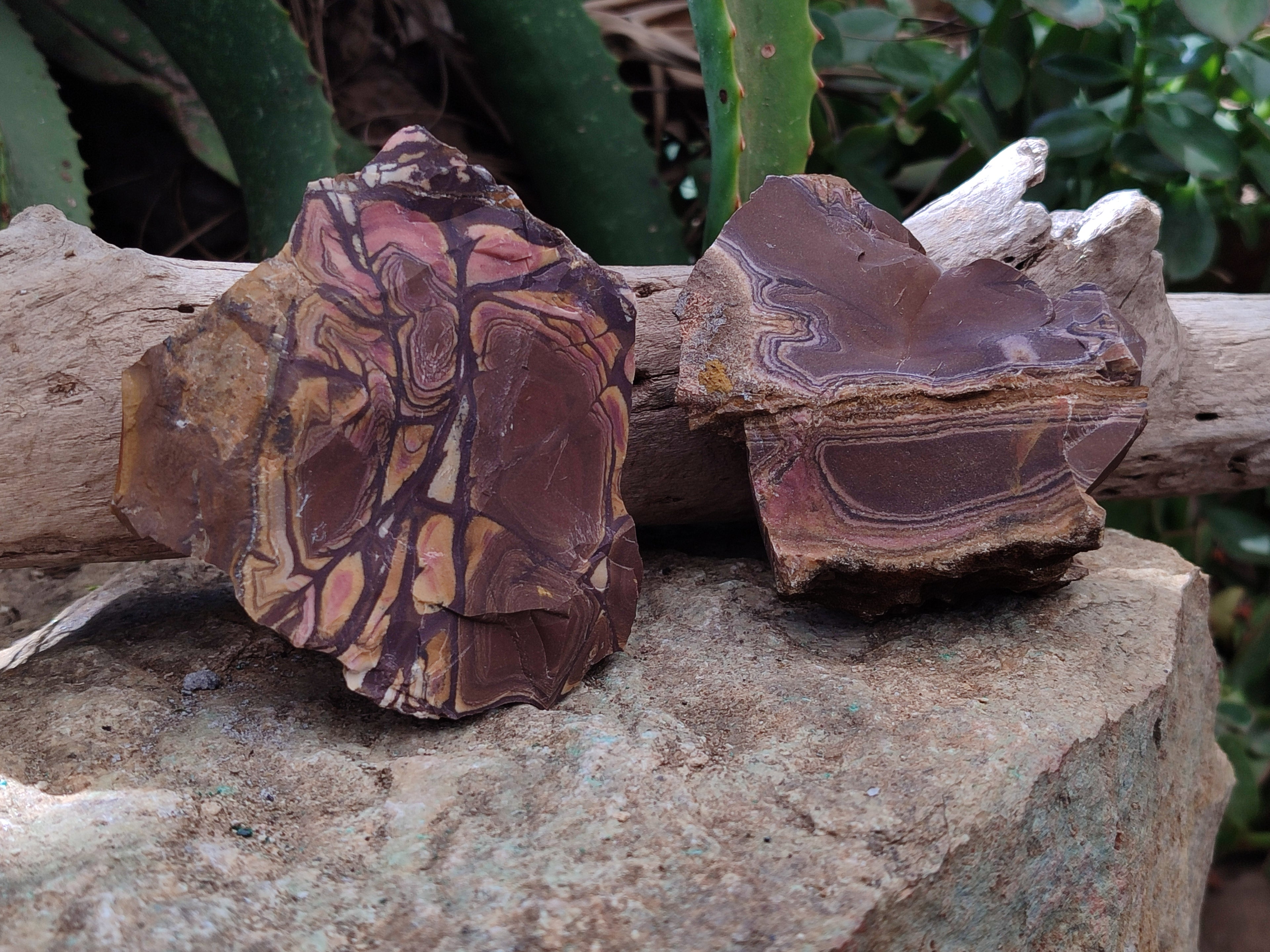 Natural Nguni Jasper Cobbed Specimens x 12 From Prieska, South Africa - Toprock Gemstones and Minerals 