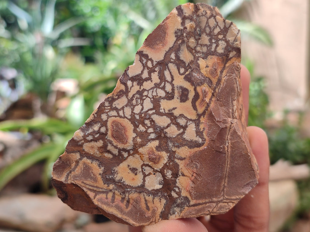 Natural Nguni Jasper Cobbed Specimens x 12 From Prieska, South Africa - Toprock Gemstones and Minerals 