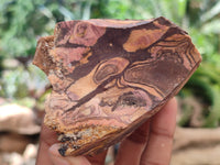 Natural Nguni Jasper Cobbed Specimens x 12 From Prieska, South Africa - Toprock Gemstones and Minerals 
