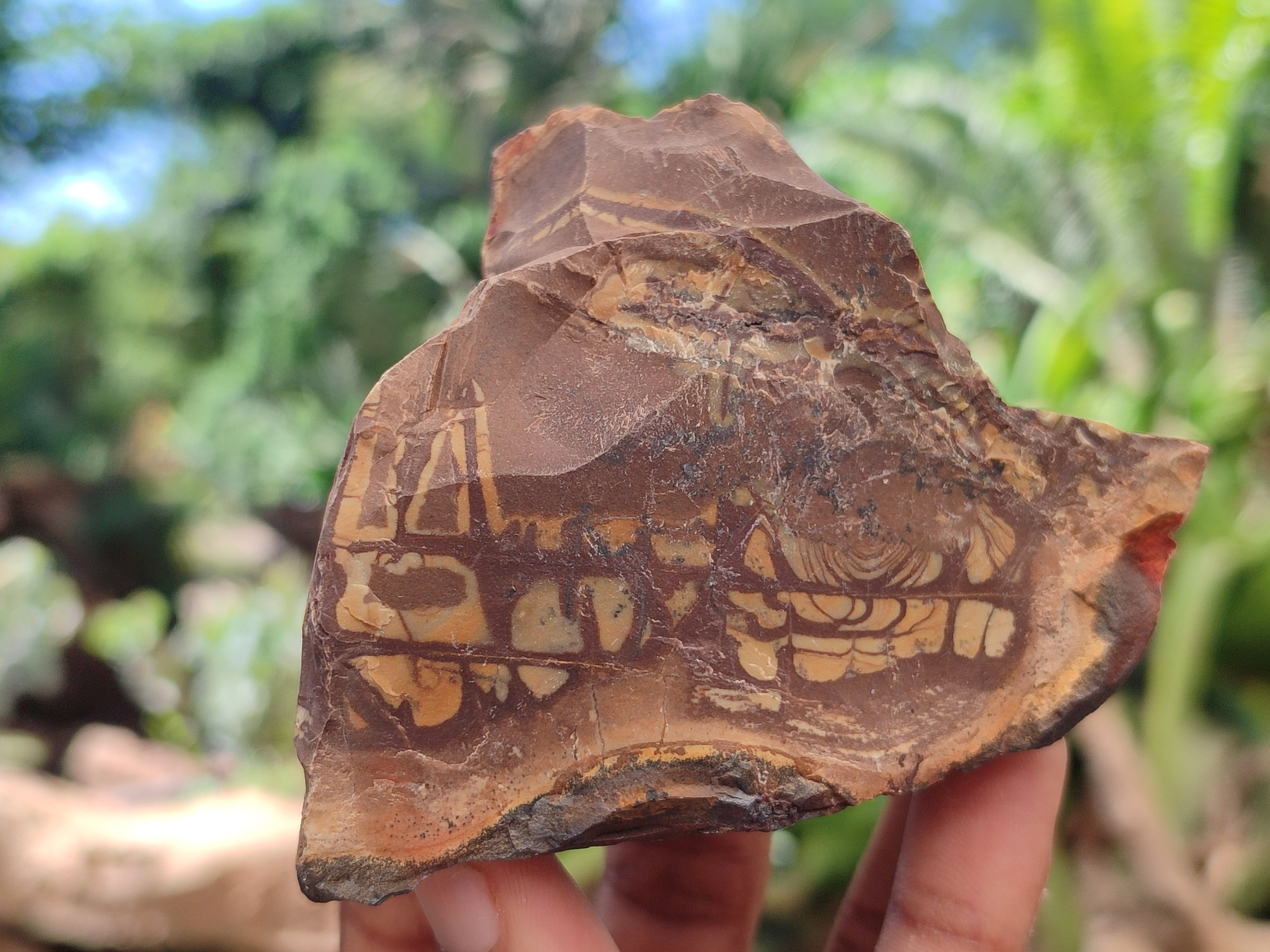 Natural Nguni Jasper Cobbed Specimens x 12 From Prieska, South Africa - Toprock Gemstones and Minerals 