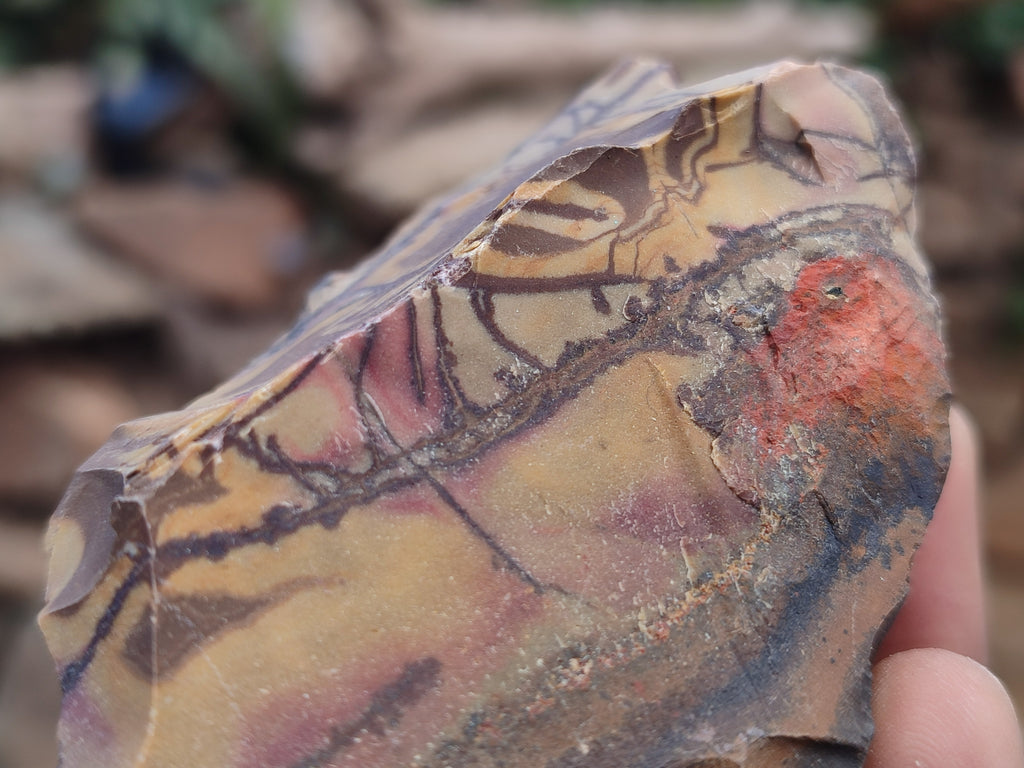 Natural Nguni Jasper Cobbed Specimens x 12 From Prieska, South Africa - Toprock Gemstones and Minerals 