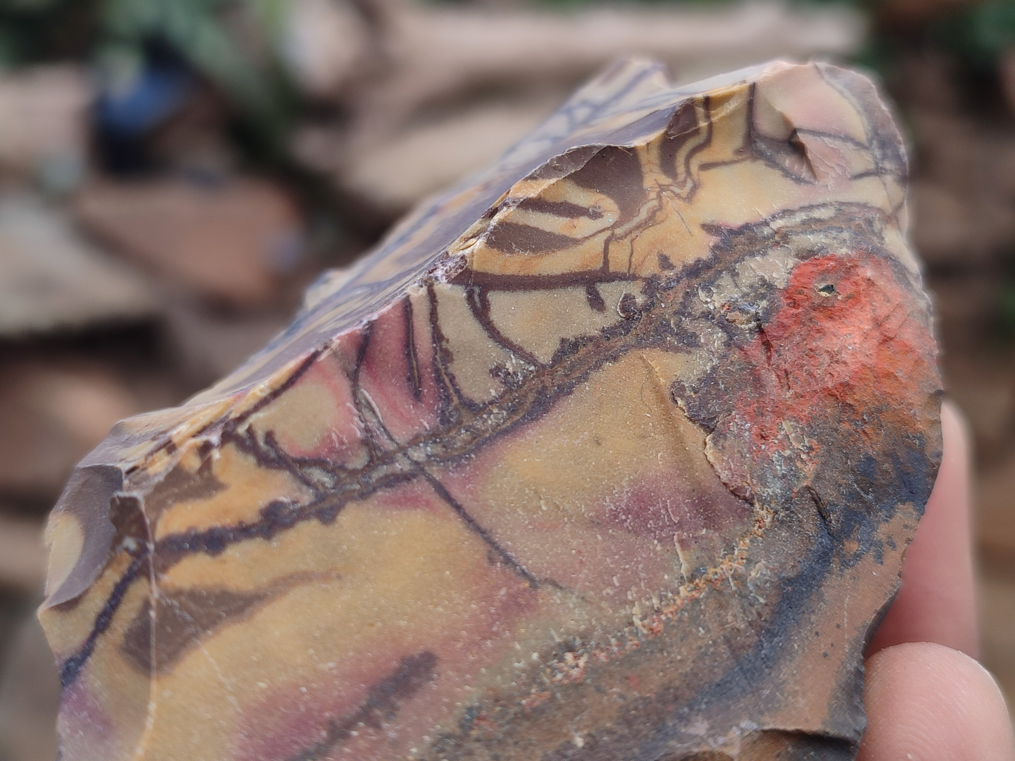 Natural Nguni Jasper Cobbed Specimens x 12 From Prieska, South Africa - Toprock Gemstones and Minerals 