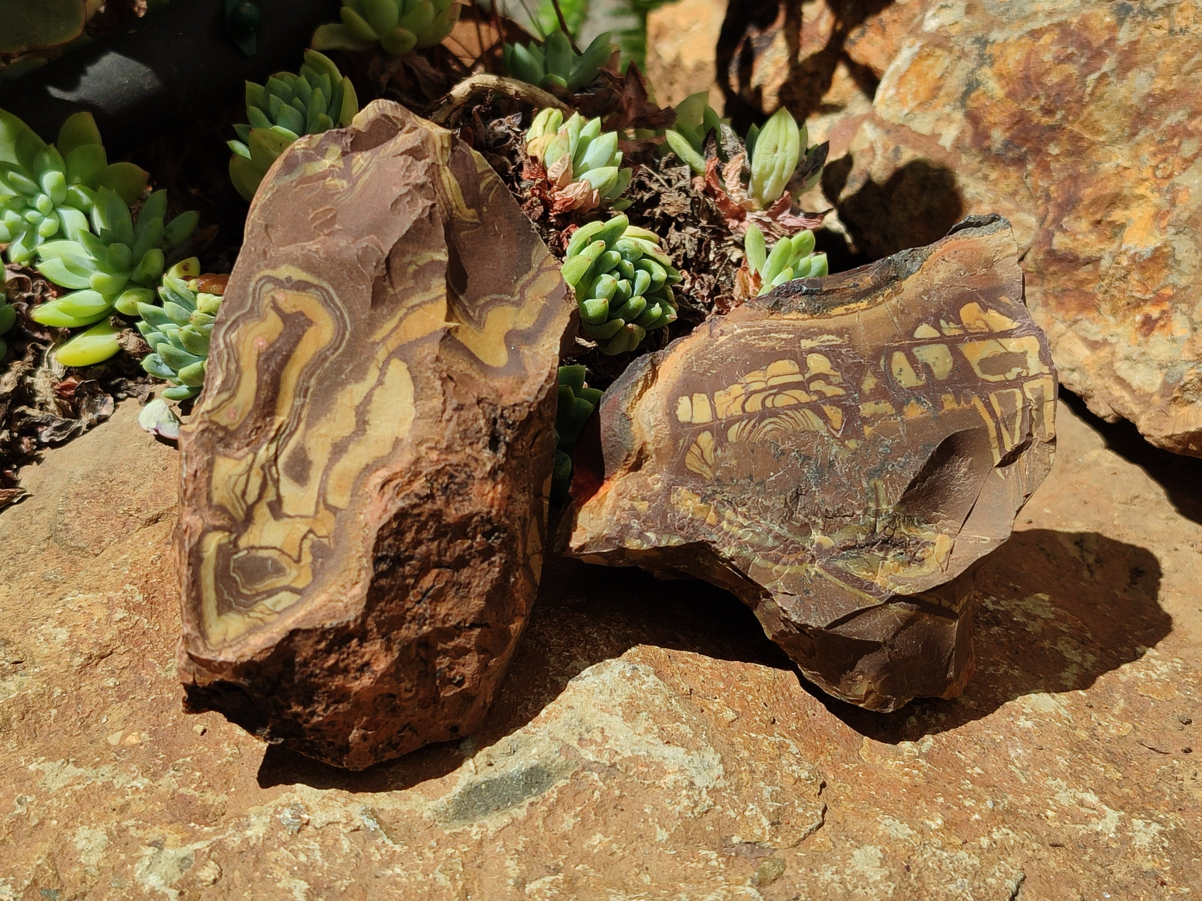 Natural Nguni Jasper Cobbed Specimens x 12 From Prieska, South Africa - Toprock Gemstones and Minerals 