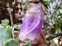 Polished Chevron Amethyst Points x 6 From Madagascar - Toprock Gemstones and Minerals 