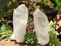 Natural Quartz Crystals x 16 From Zambia - Toprock Gemstones and Minerals 