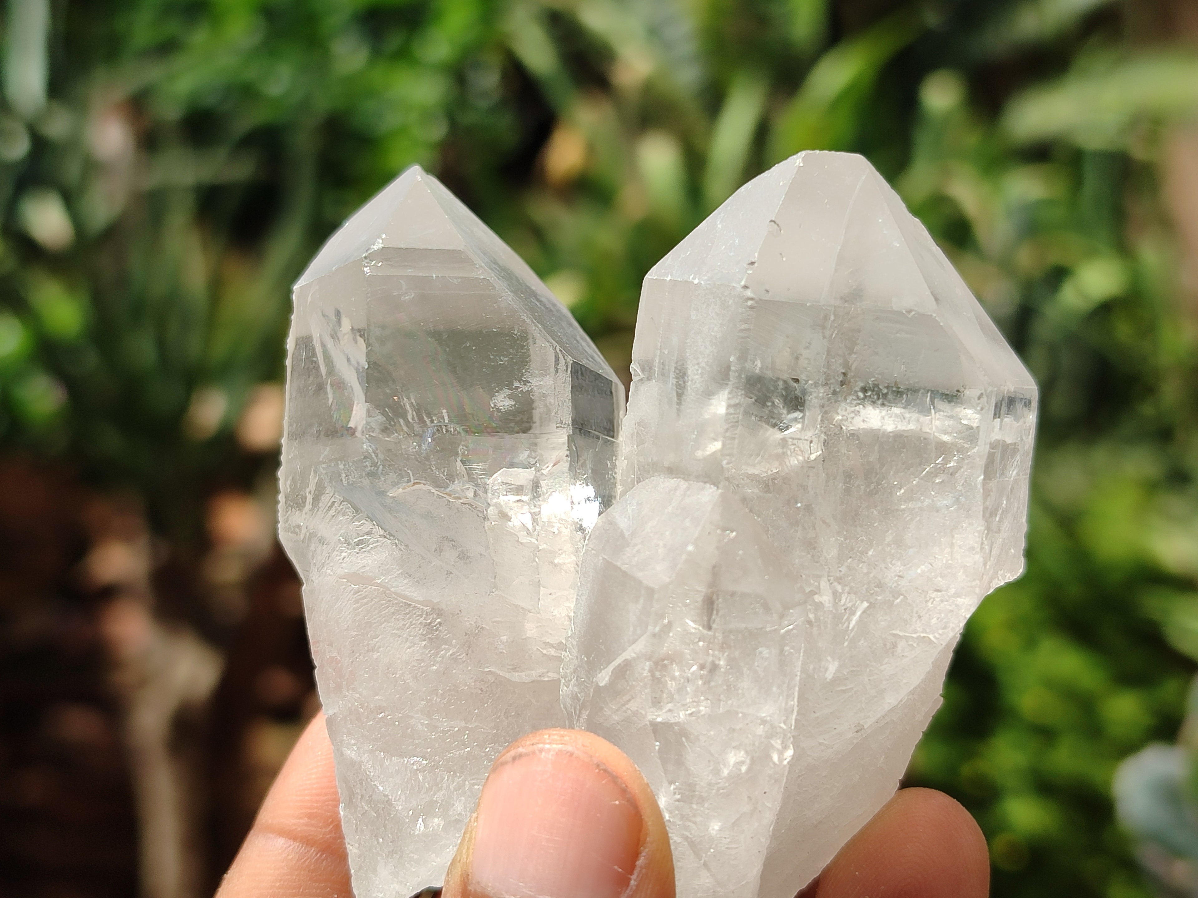 Natural Quartz Crystals x 16 From Zambia - Toprock Gemstones and Minerals 