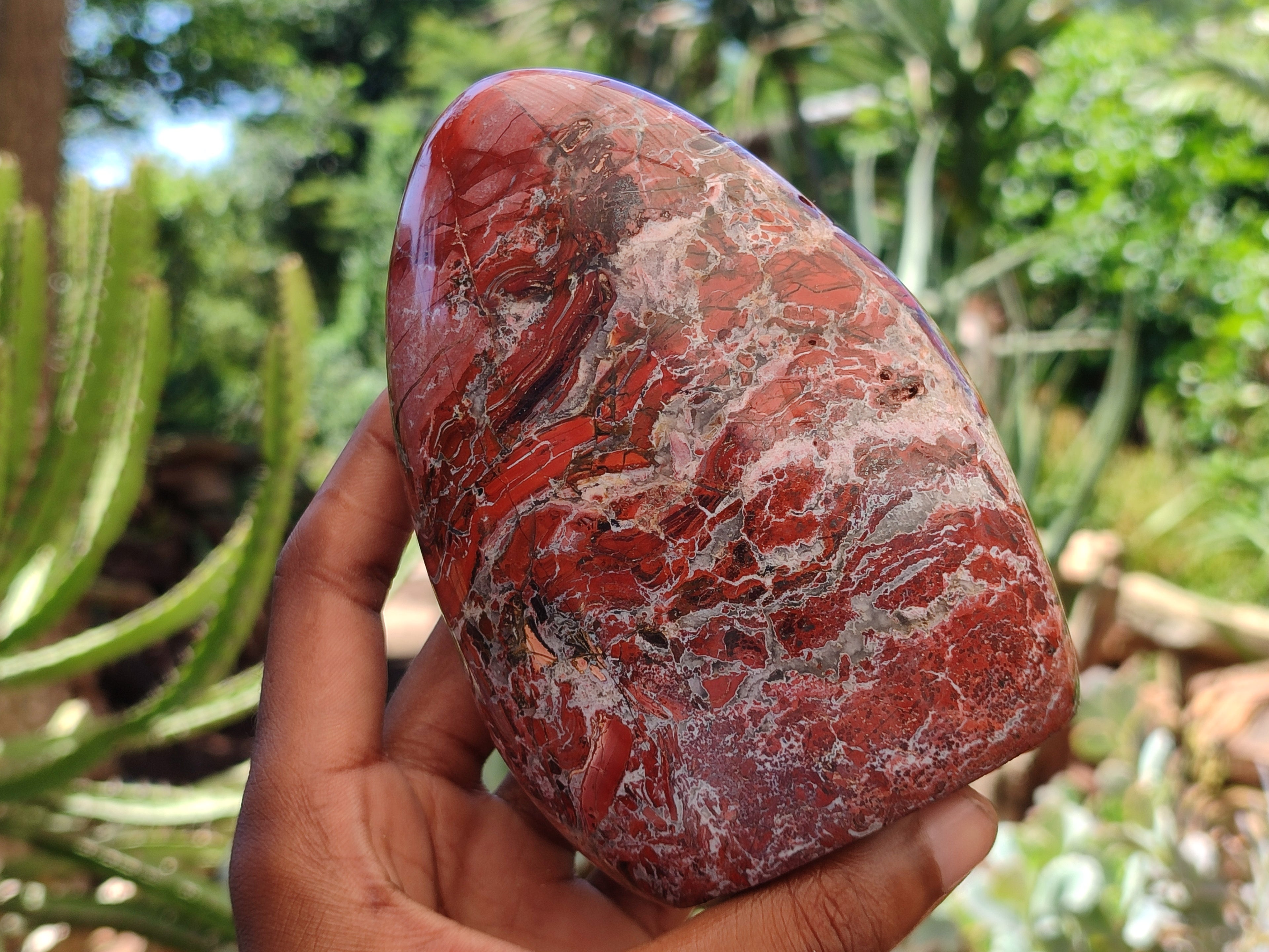 Polished Red Jasper Standing Free Forms x 2 From Madagascar - Toprock Gemstones and Minerals 