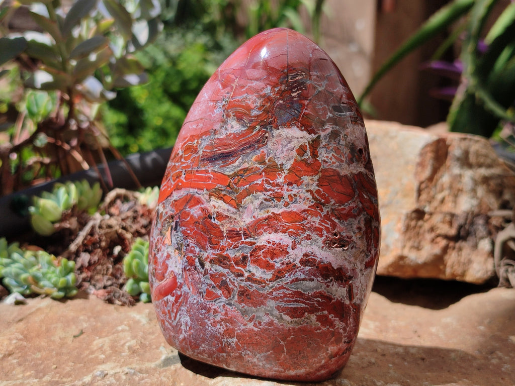 Polished Red Jasper Standing Free Forms x 2 From Madagascar - Toprock Gemstones and Minerals 