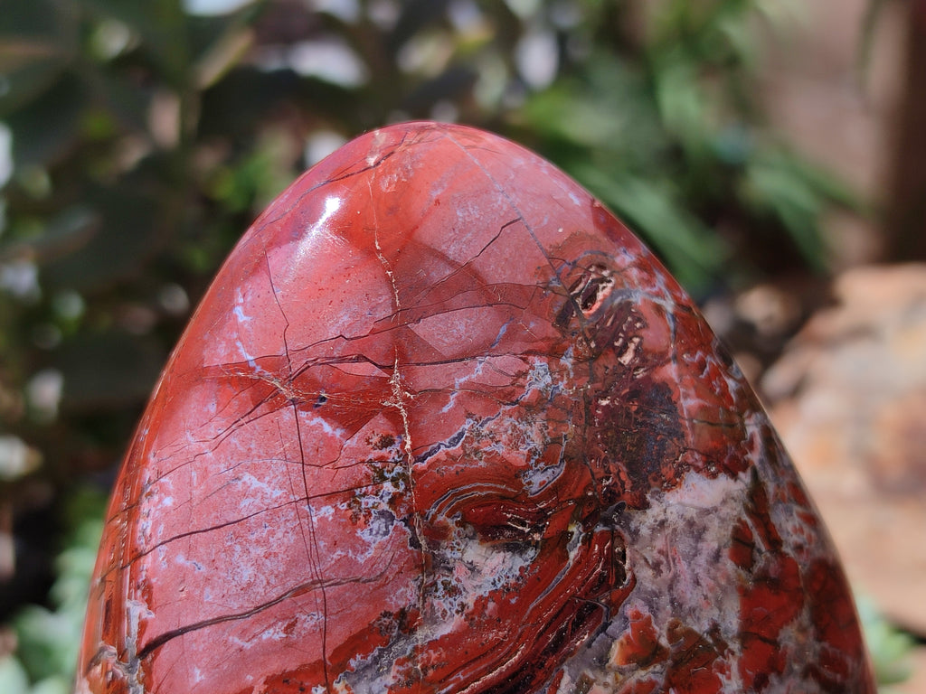 Polished Red Jasper Standing Free Forms x 2 From Madagascar - Toprock Gemstones and Minerals 