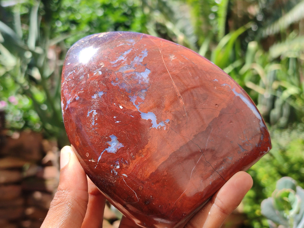 Polished Red Jasper Standing Free Forms x 2 From Madagascar - Toprock Gemstones and Minerals 