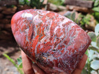 Polished Red Jasper Standing Free Forms x 2 From Madagascar - Toprock Gemstones and Minerals 