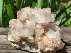 Natural Spirit Quartz Clusters x 2 From Boekenhouthoek, South Africa - Toprock Gemstones and Minerals 