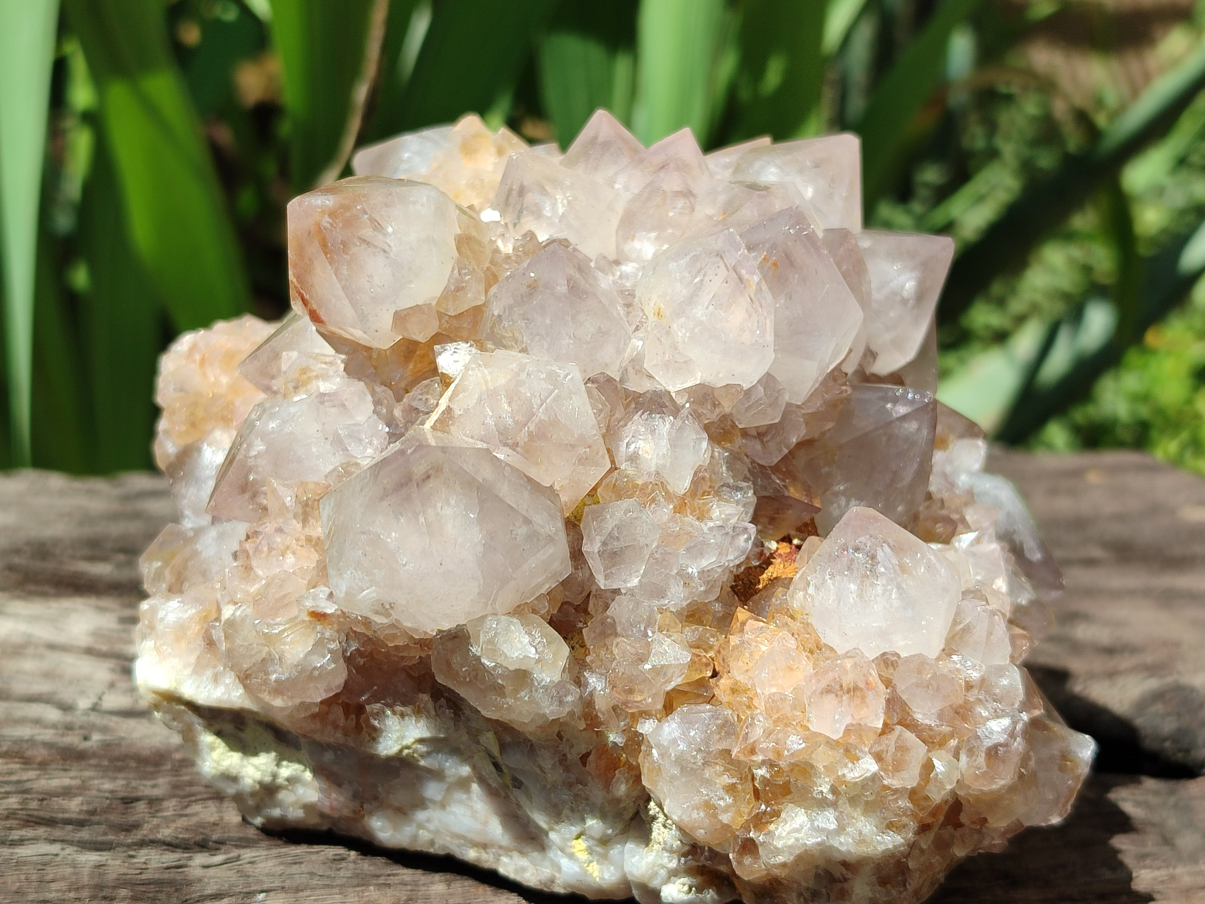 Natural Spirit Quartz Clusters x 2 From Boekenhouthoek, South Africa - Toprock Gemstones and Minerals 