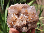 Natural Spirit Quartz Clusters x 2 From Boekenhouthoek, South Africa - Toprock Gemstones and Minerals 