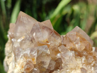 Natural Spirit Quartz Clusters x 2 From Boekenhouthoek, South Africa - Toprock Gemstones and Minerals 