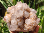 Natural Spirit Quartz Clusters x 2 From Boekenhouthoek, South Africa - Toprock Gemstones and Minerals 
