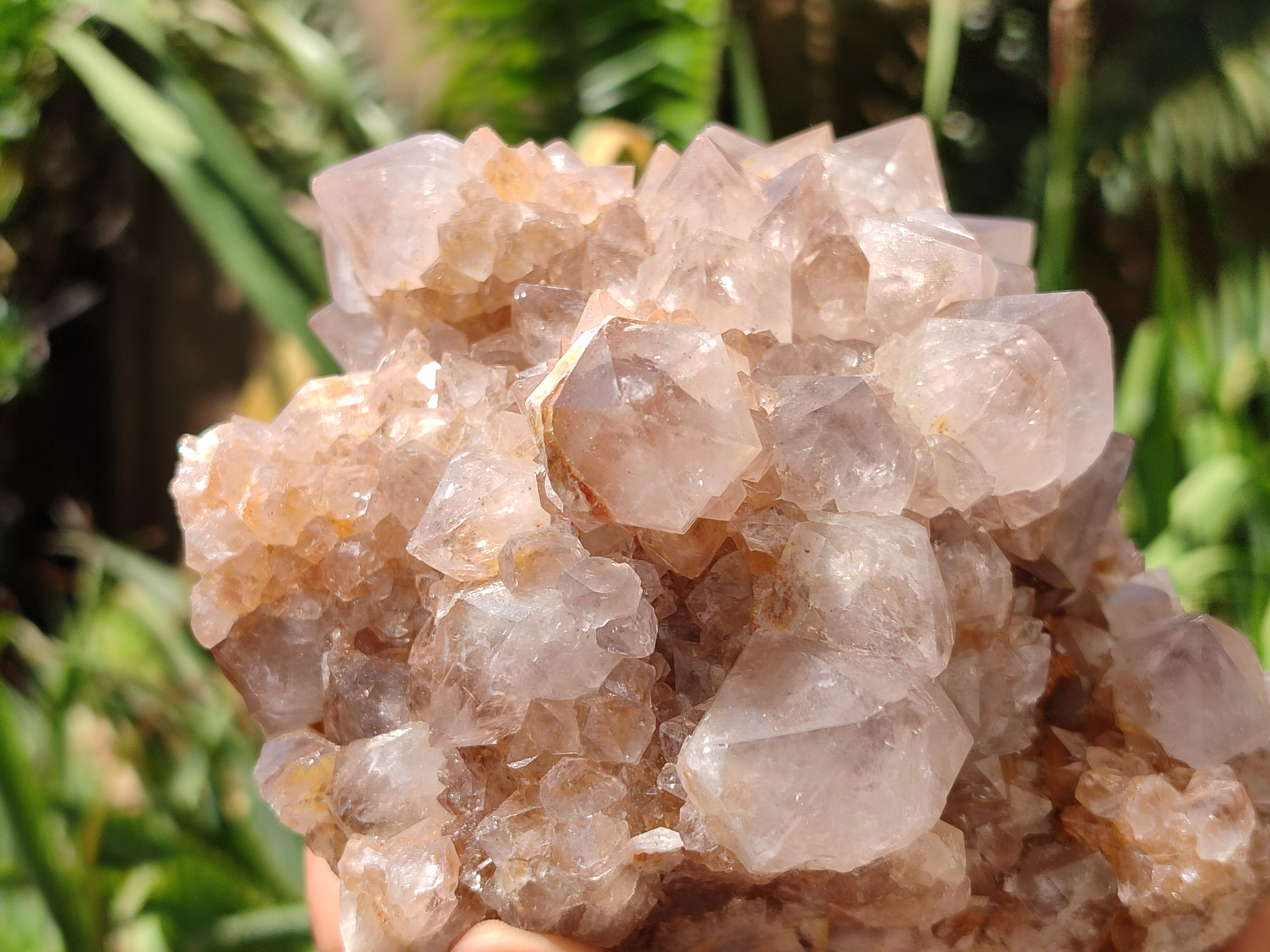 Natural Spirit Quartz Clusters x 2 From Boekenhouthoek, South Africa - Toprock Gemstones and Minerals 