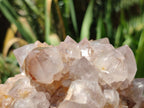 Natural Spirit Quartz Clusters x 2 From Boekenhouthoek, South Africa - Toprock Gemstones and Minerals 