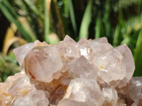 Natural Spirit Quartz Clusters x 2 From Boekenhouthoek, South Africa - Toprock Gemstones and Minerals 