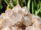 Natural Spirit Quartz Clusters x 2 From Boekenhouthoek, South Africa - Toprock Gemstones and Minerals 
