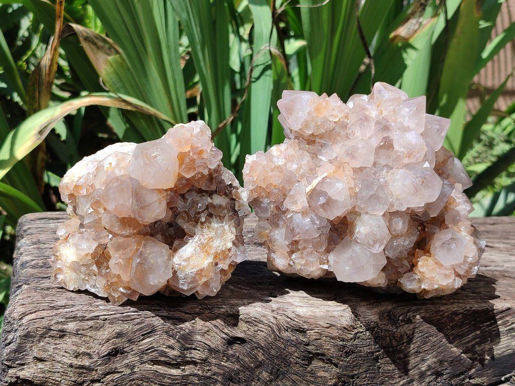 Natural Spirit Quartz Clusters x 2 From Boekenhouthoek, South Africa - Toprock Gemstones and Minerals 