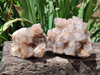 Natural Spirit Quartz Clusters x 2 From Boekenhouthoek, South Africa - Toprock Gemstones and Minerals 