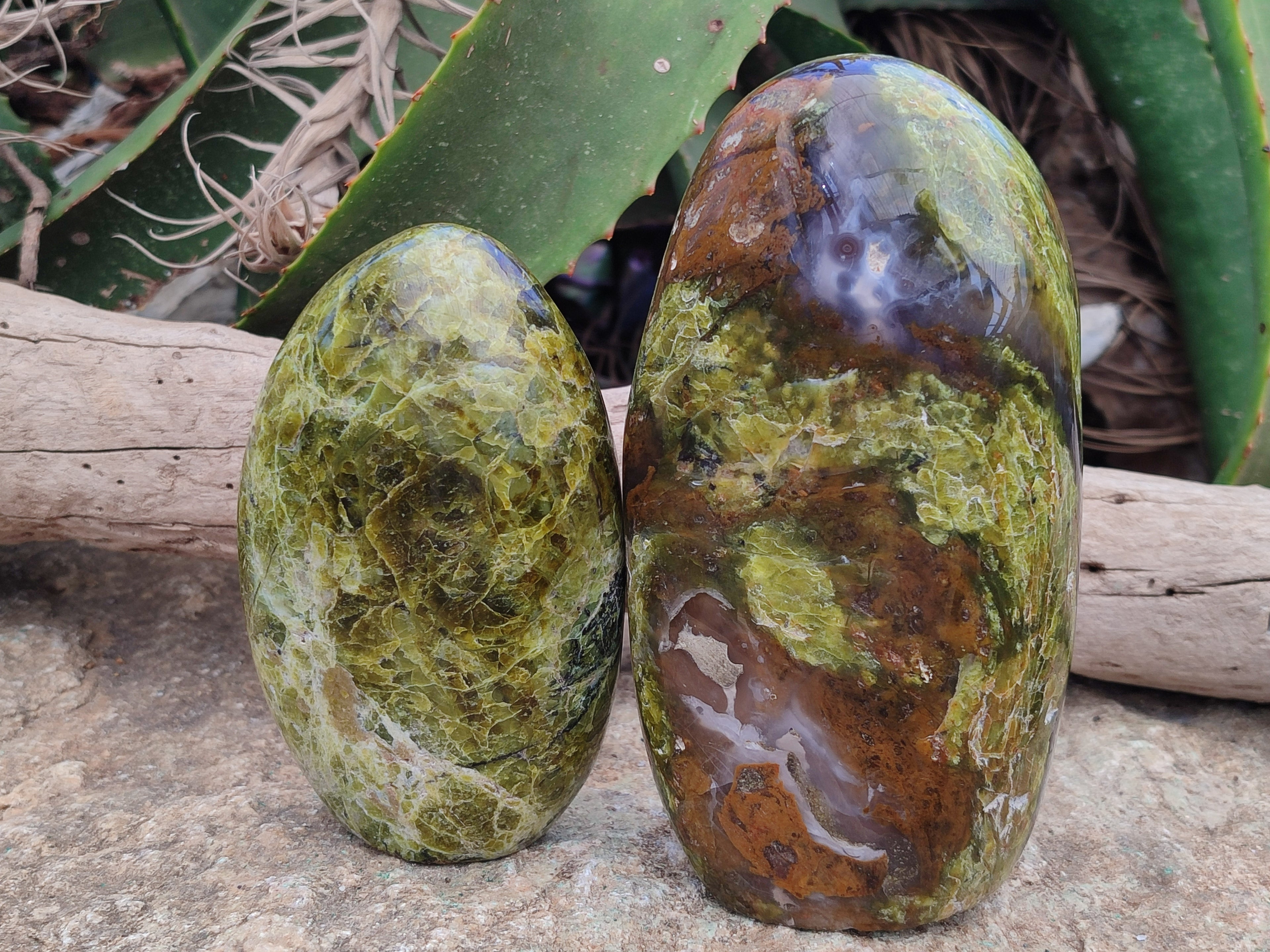 Polished Green Opal Standing Free Forms x 2 From Antsirabe, Madagascar - Toprock Gemstones and Minerals 