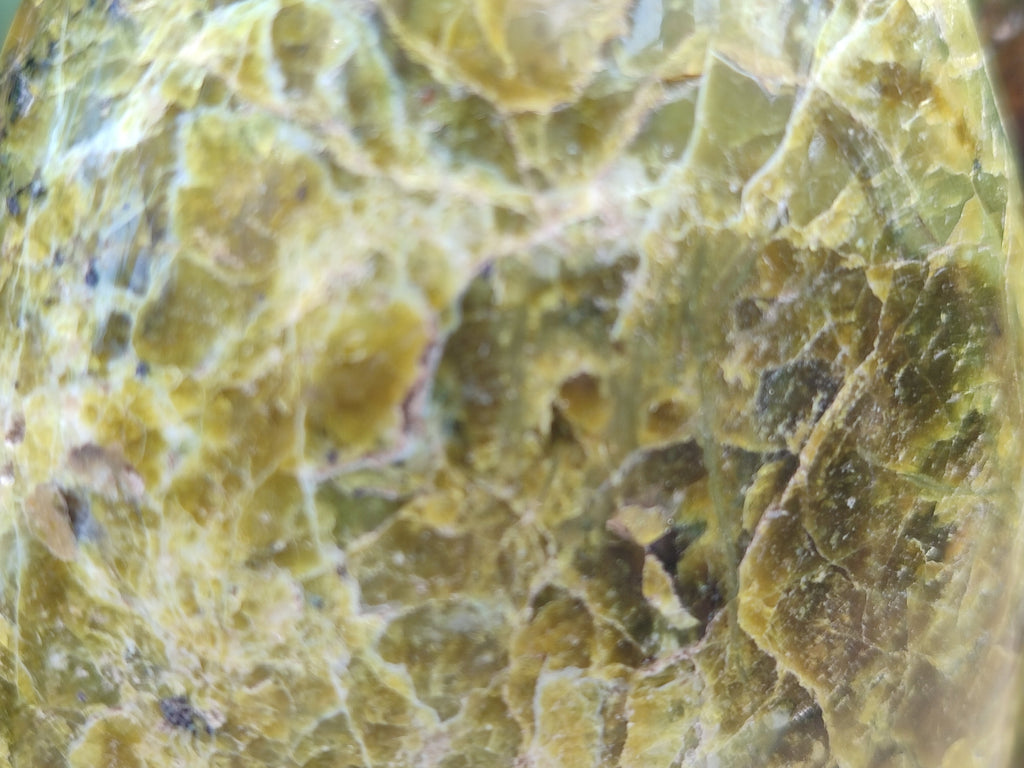 Polished Green Opal Standing Free Forms x 2 From Antsirabe, Madagascar - Toprock Gemstones and Minerals 