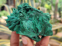 Natural Silky Malachite Specimens x 6 From Kasompe, Congo - Toprock Gemstones and Minerals 