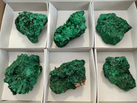 Natural Silky Malachite Specimens x 6 From Kasompe, Congo - Toprock Gemstones and Minerals 