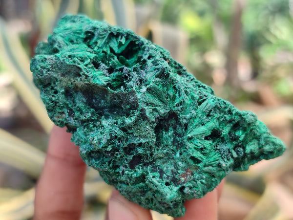 Natural Silky Malachite Specimens x 6 From Kasompe, Congo - Toprock Gemstones and Minerals 