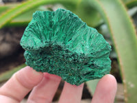 Natural Silky Malachite Specimens x 6 From Kasompe, Congo - Toprock Gemstones and Minerals 