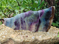 Polished Watermelon Fluorite Slices x 2 From Uis, Namibia - Toprock Gemstones and Minerals 