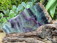 Polished Watermelon Fluorite Slices x 2 From Uis, Namibia - Toprock Gemstones and Minerals 