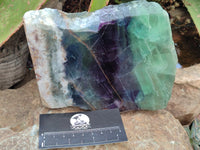 Polished Watermelon Fluorite Slices x 2 From Uis, Namibia - Toprock Gemstones and Minerals 
