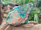 Natural Shattuckite with Chrysocolla and Malachite x 12 from Kaokoveld, Namibia - Toprock Gemstones and Minerals 