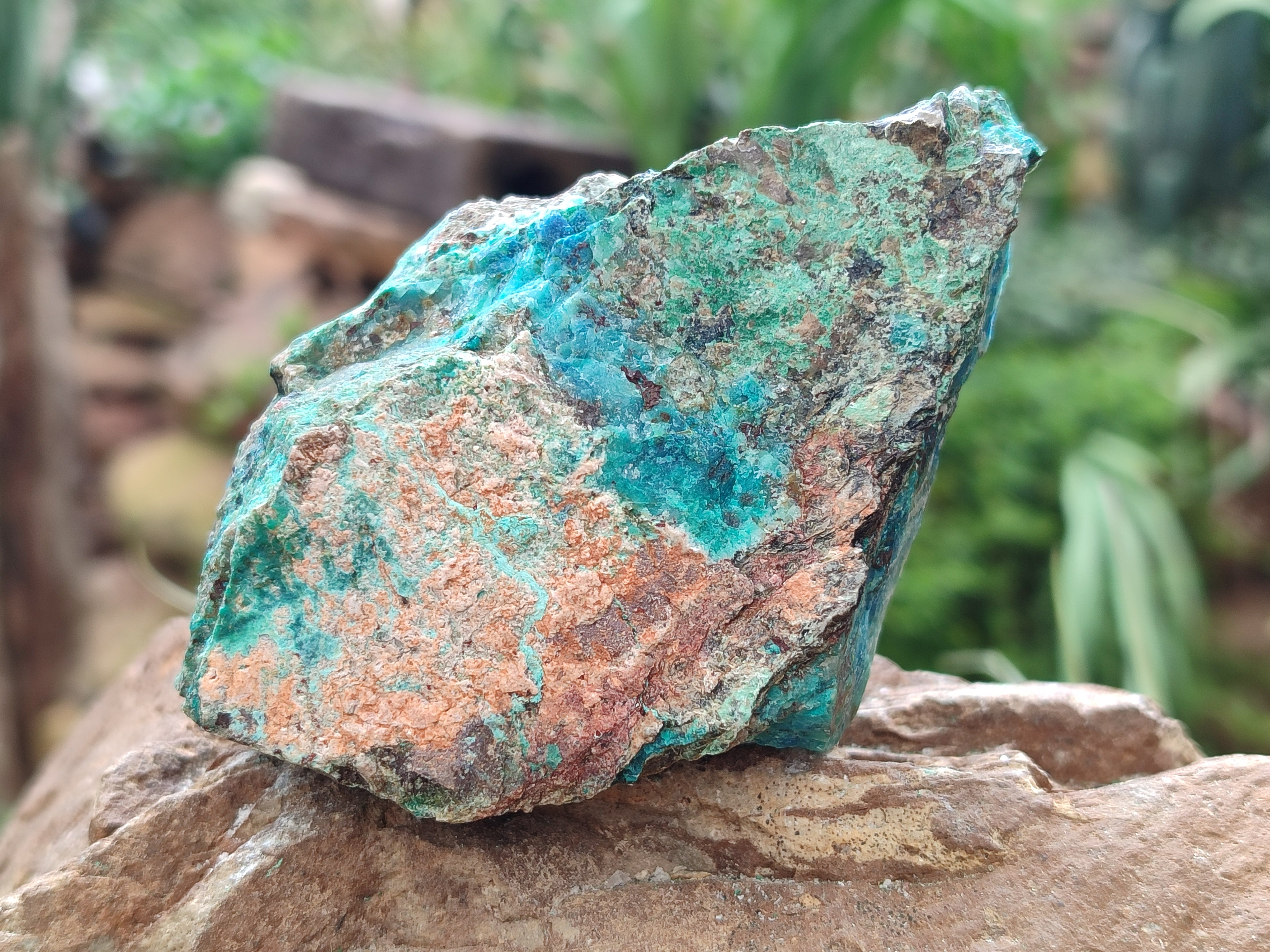 Natural Shattuckite with Chrysocolla and Malachite x 12 from Kaokoveld, Namibia - Toprock Gemstones and Minerals 