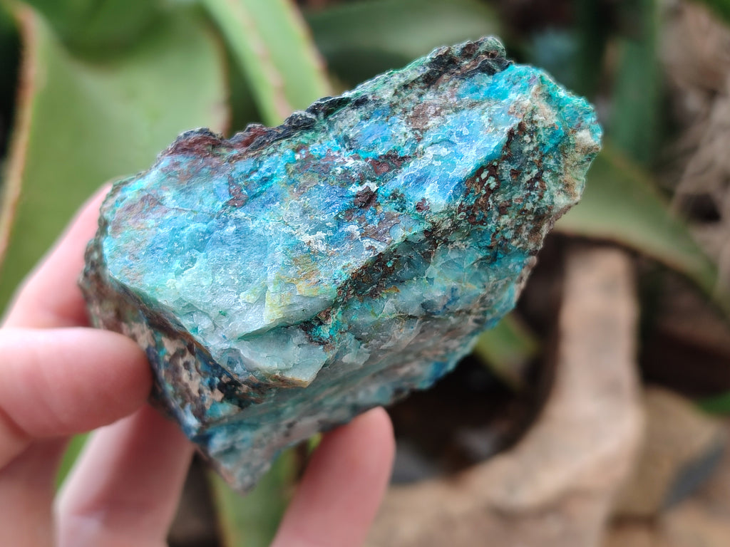 Natural Shattuckite with Chrysocolla and Malachite x 12 from Kaokoveld, Namibia - Toprock Gemstones and Minerals 