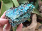 Natural Shattuckite with Chrysocolla and Malachite x 12 from Kaokoveld, Namibia - Toprock Gemstones and Minerals 