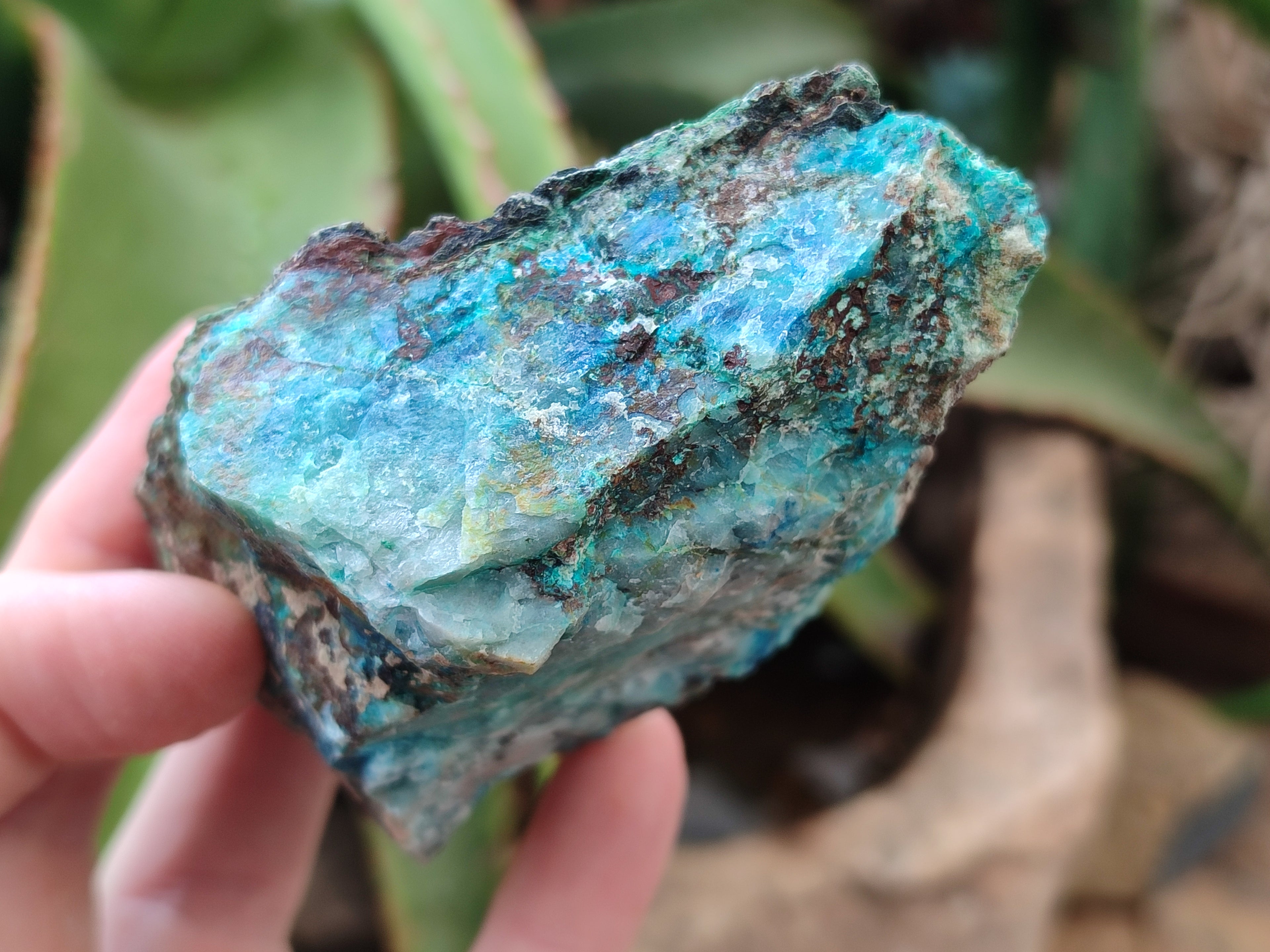 Natural Shattuckite with Chrysocolla and Malachite x 12 from Kaokoveld, Namibia - Toprock Gemstones and Minerals 